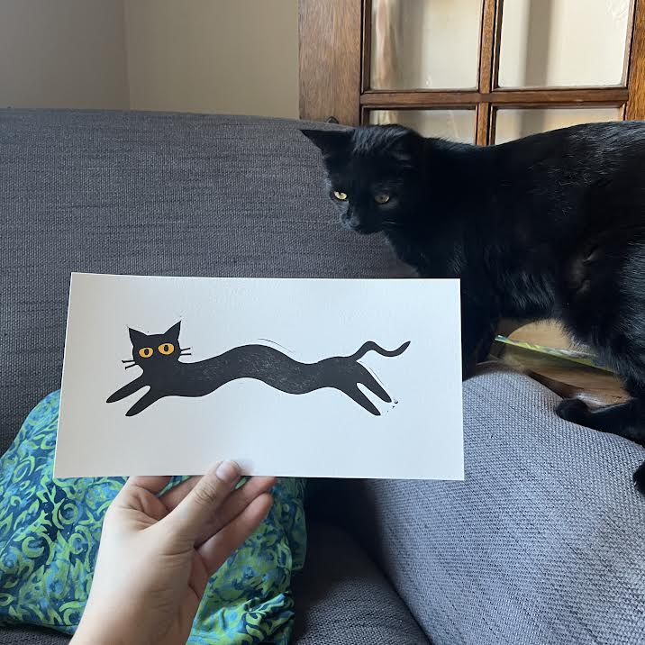 Jana's Long Black Cat