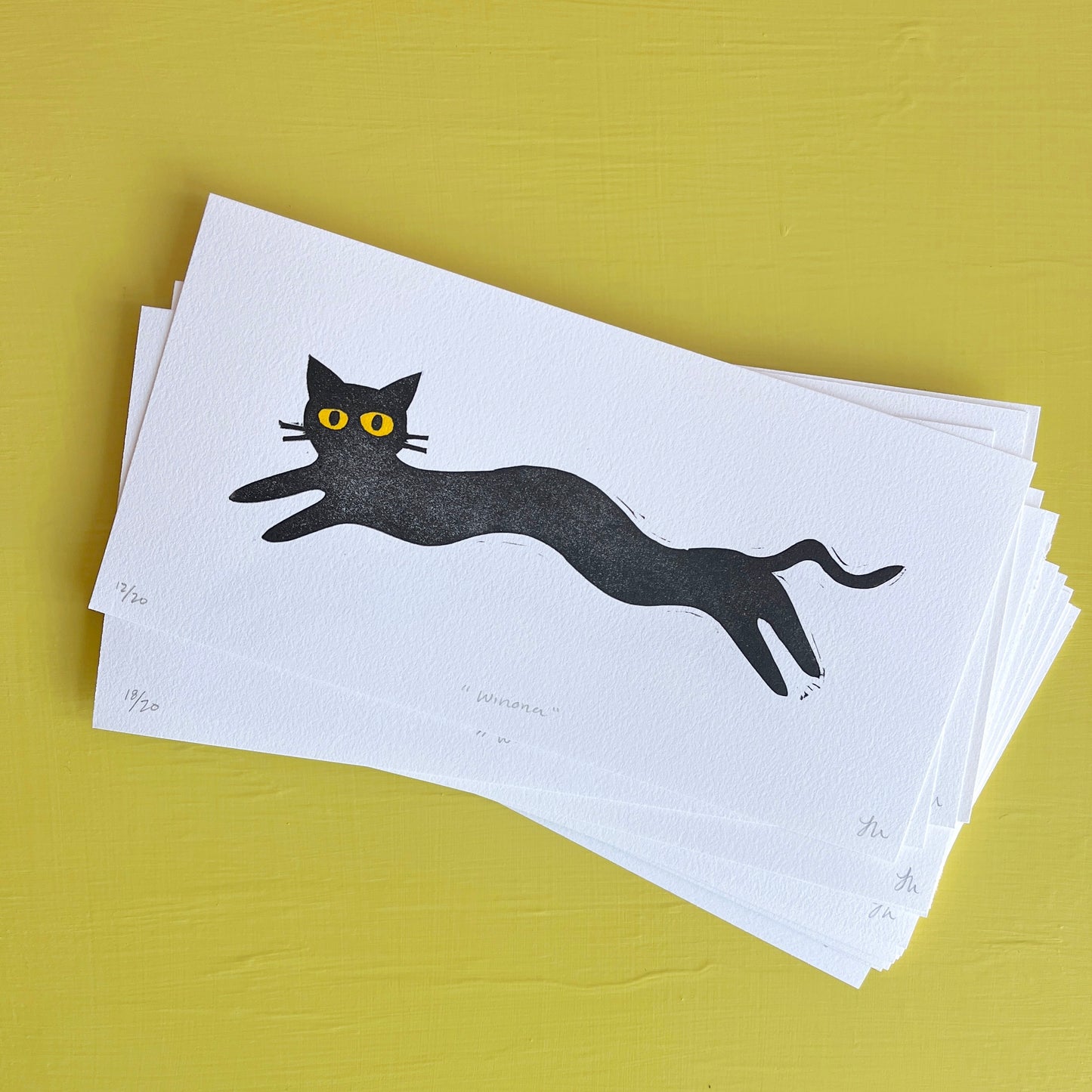 Jana's Long Black Cat