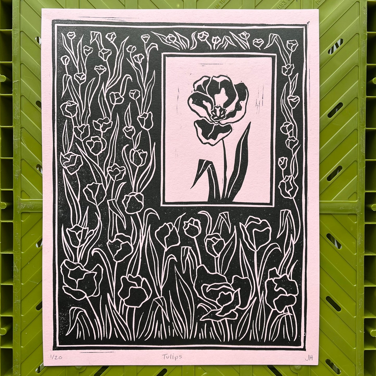 Jana's Tulips