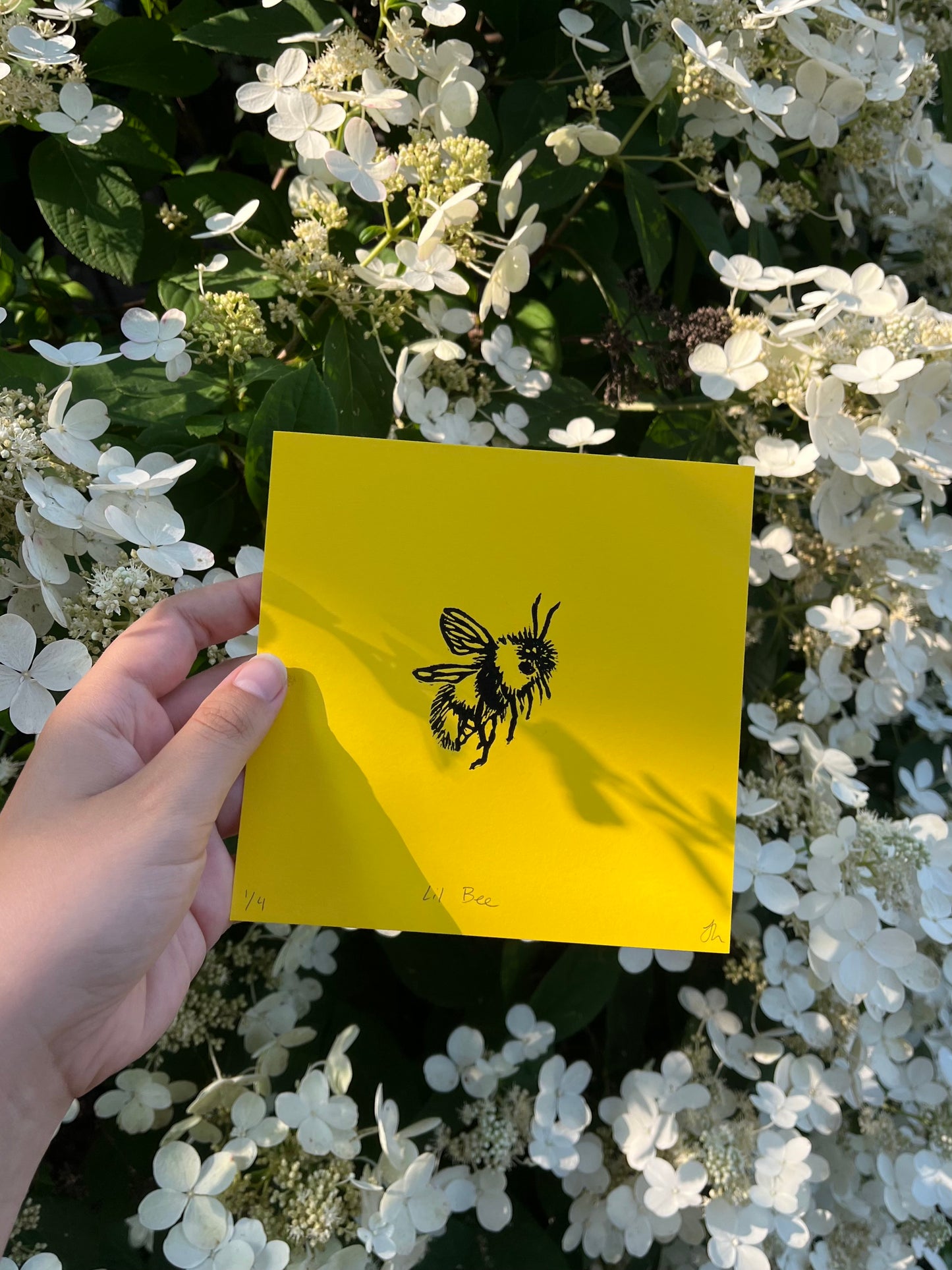 Jana's Bee