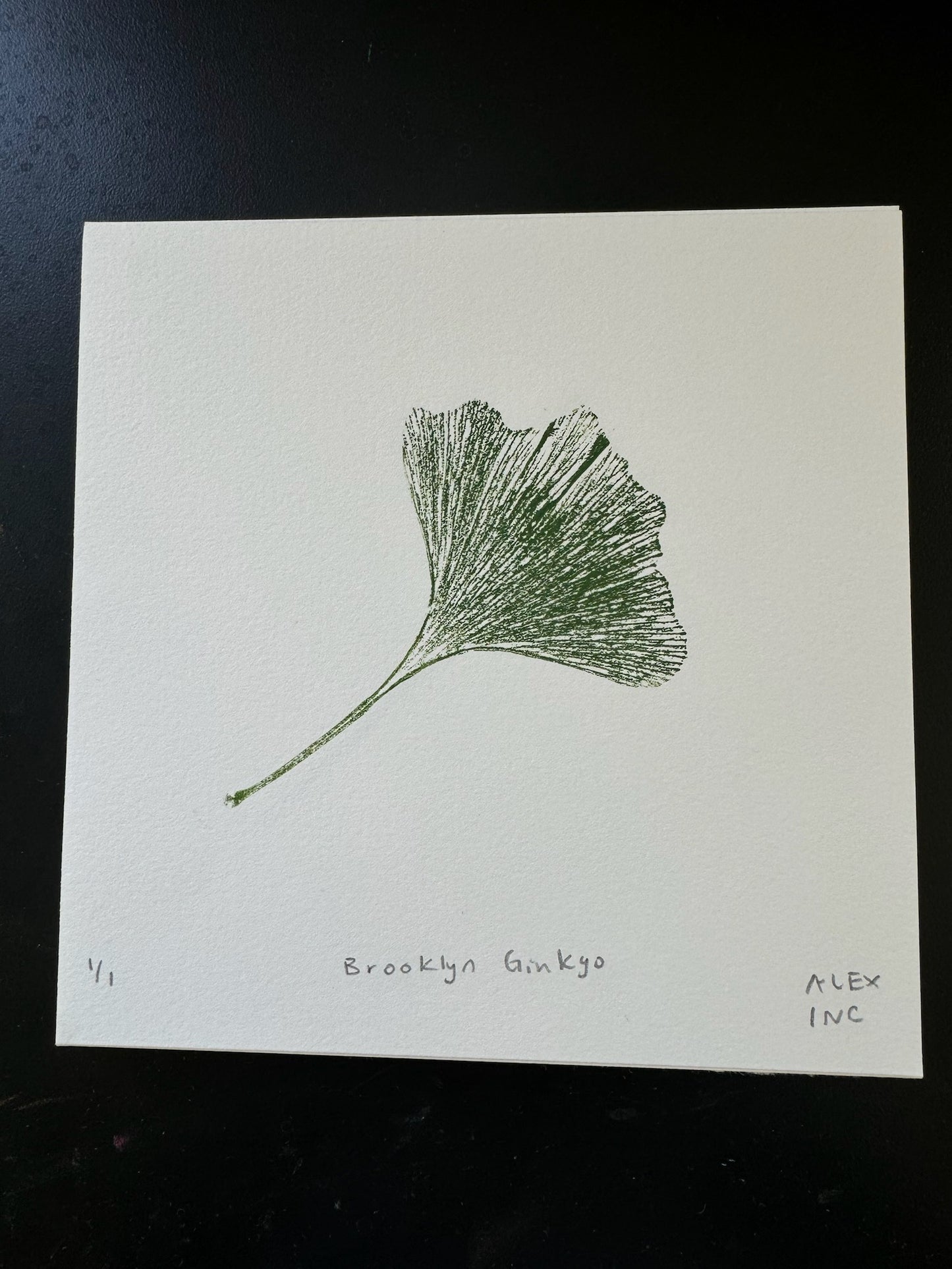 Alex's Brooklyn Ginko