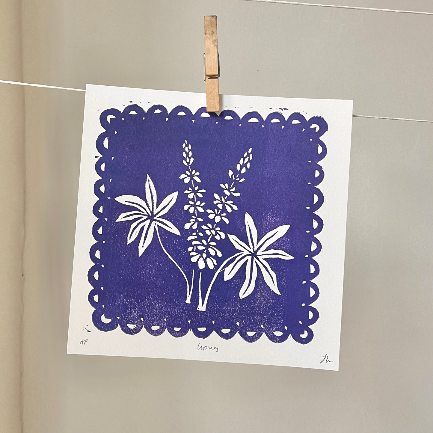 Jana's Lupines