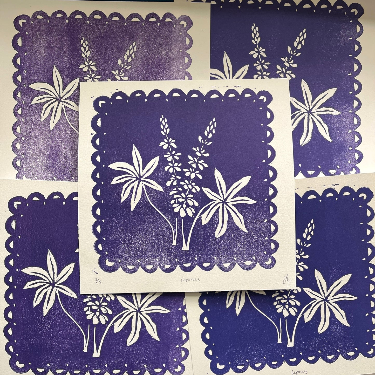 Jana's Lupines