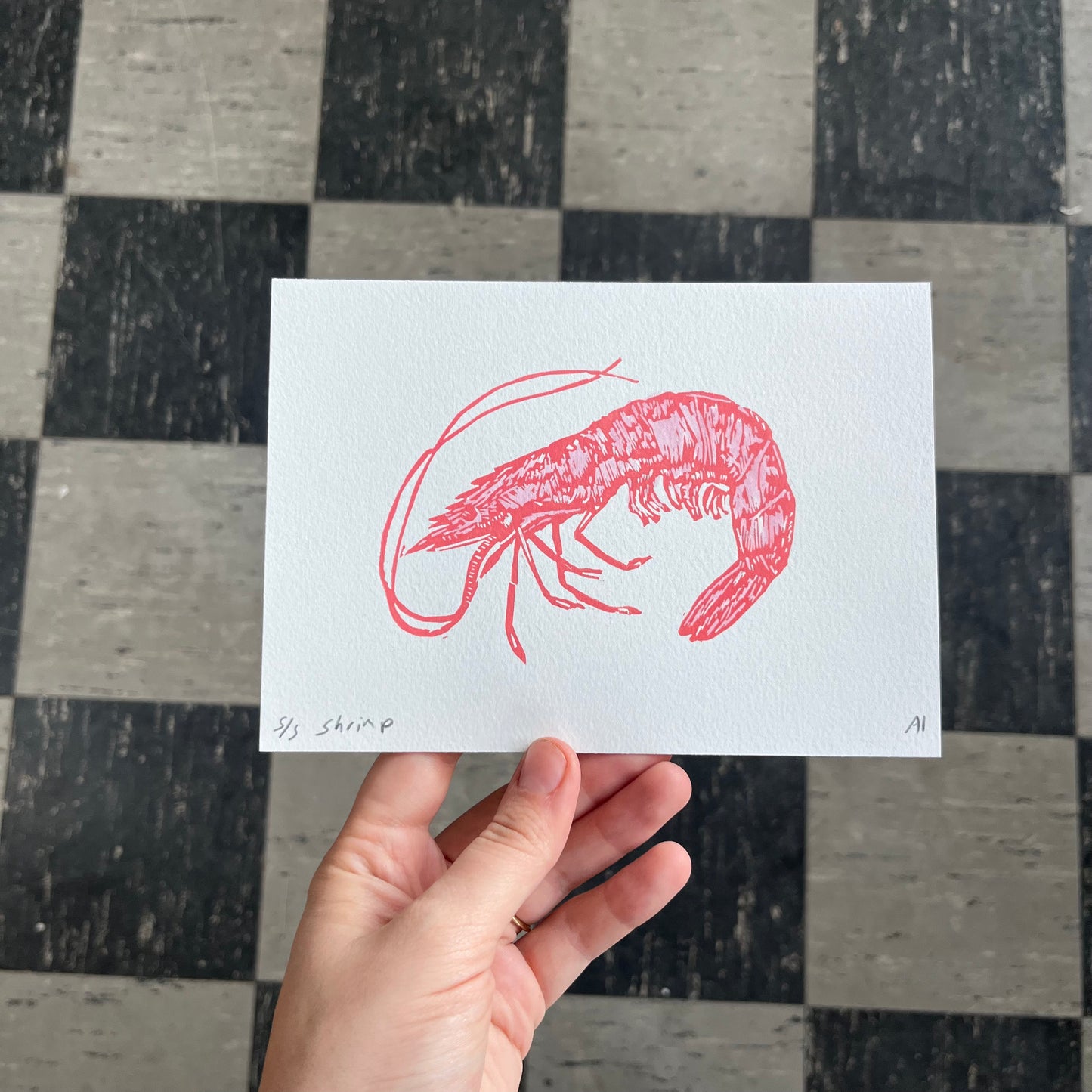 Shrimp