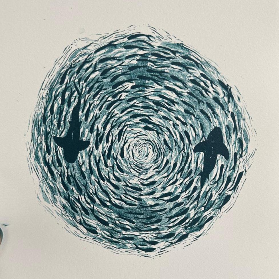 Grace's Schooling Fish