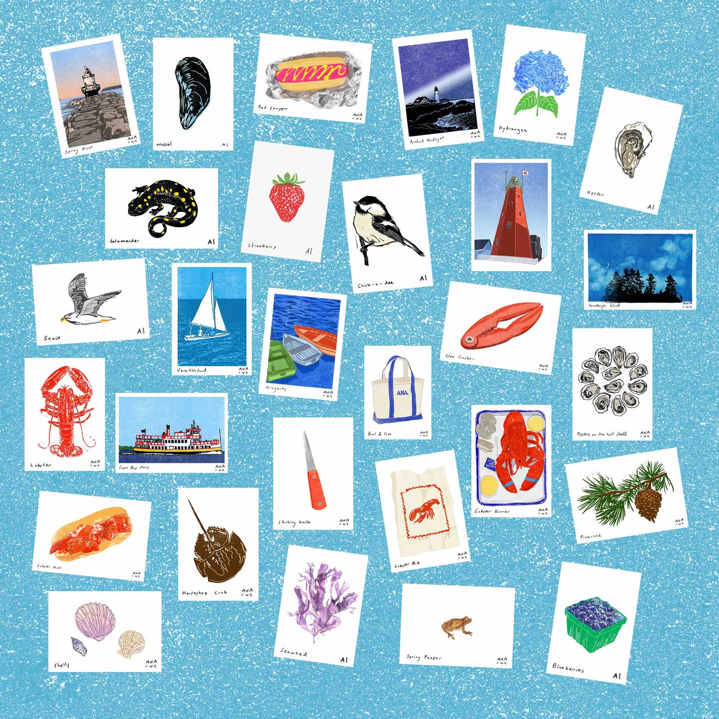 Coastal Maine Mini Print Mystery Pack