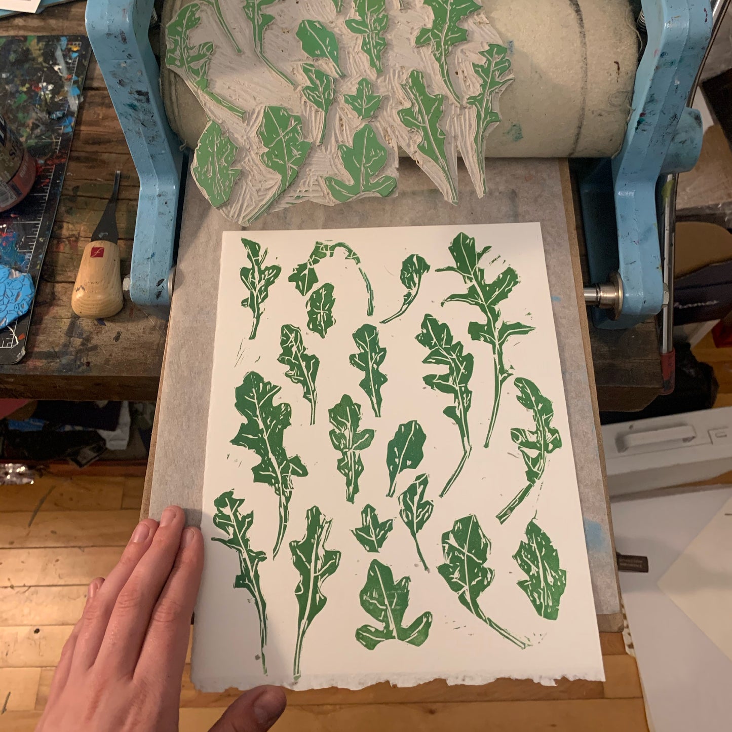 Arugula