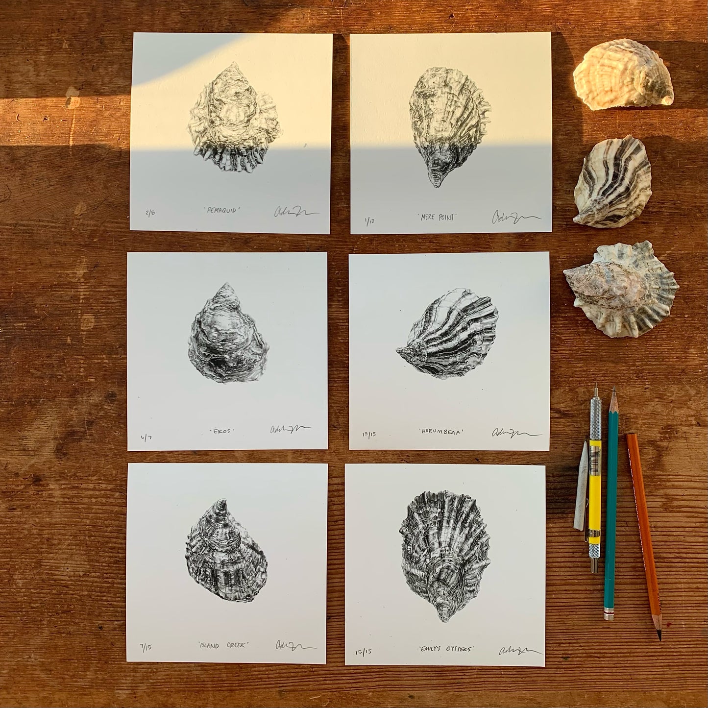 Addison's Pemaquid Oyster Print