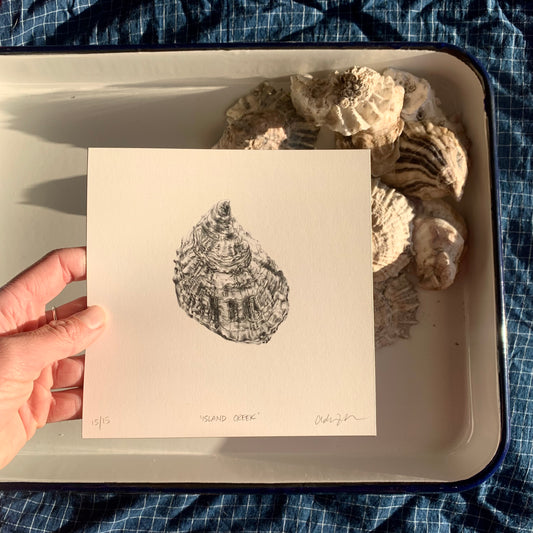 Addison's Island Creek Oyster Print