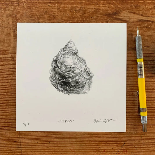 Addison's Eros Oyster Print