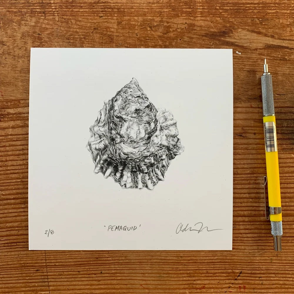 Addison's Pemaquid Oyster Print