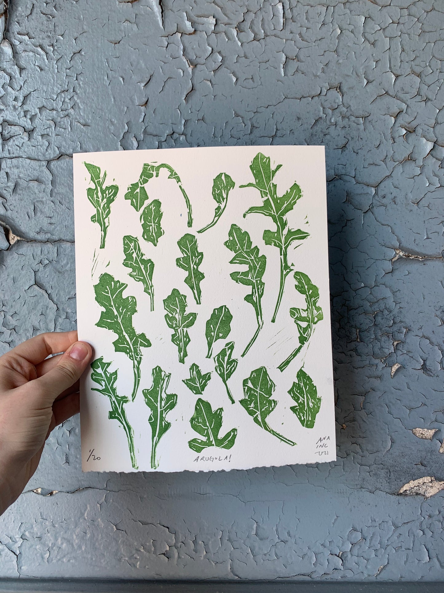 Arugula
