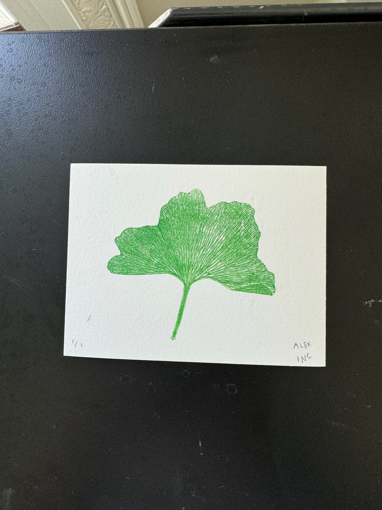 Alex's Brooklyn Ginko