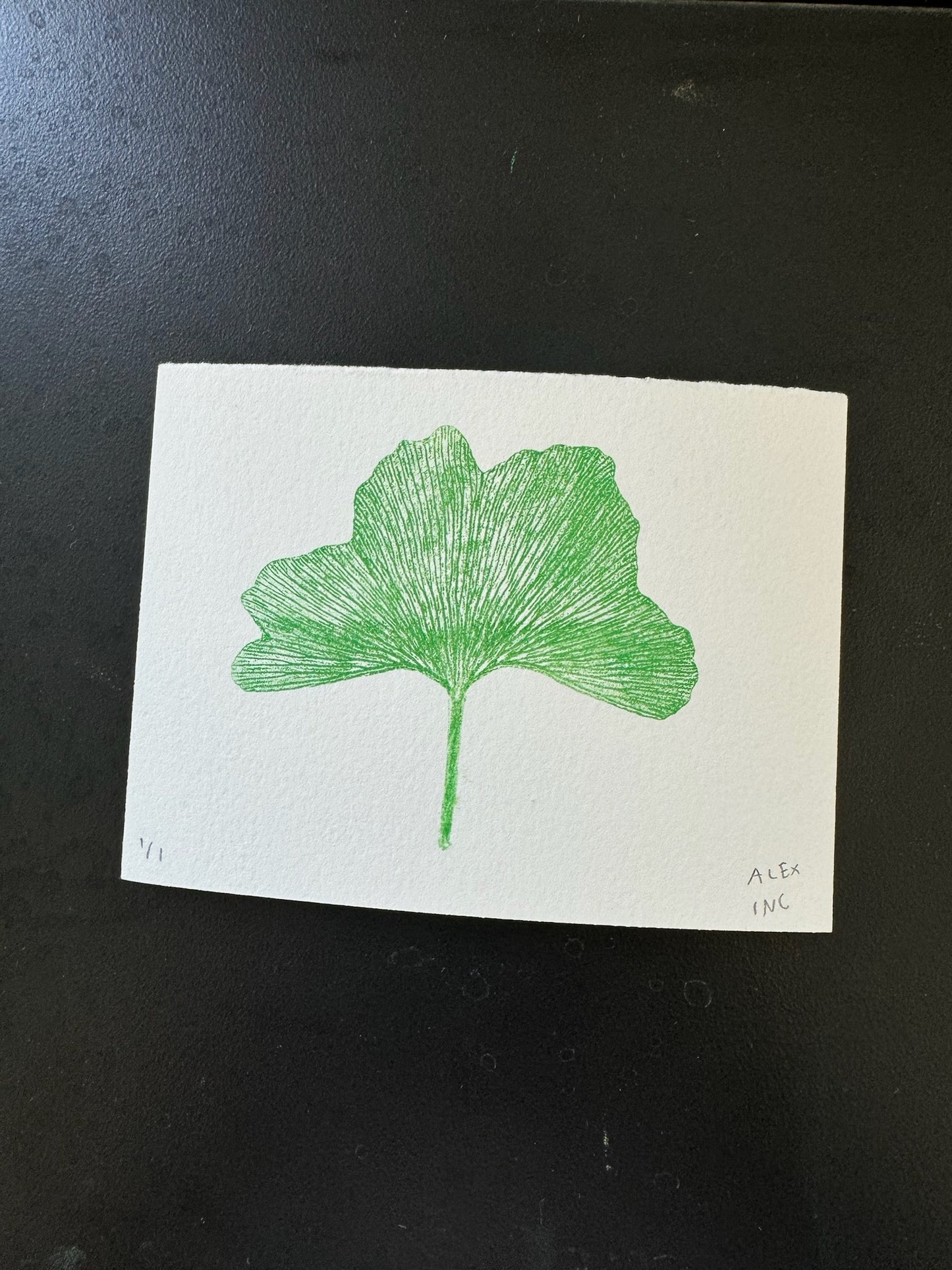 Alex's Brooklyn Ginko