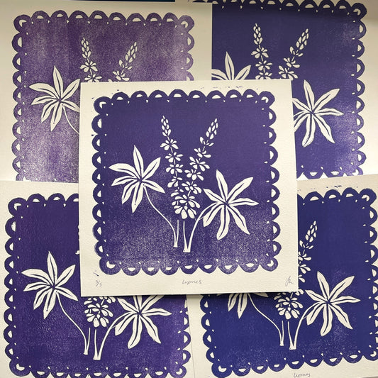 Jana's Lupines