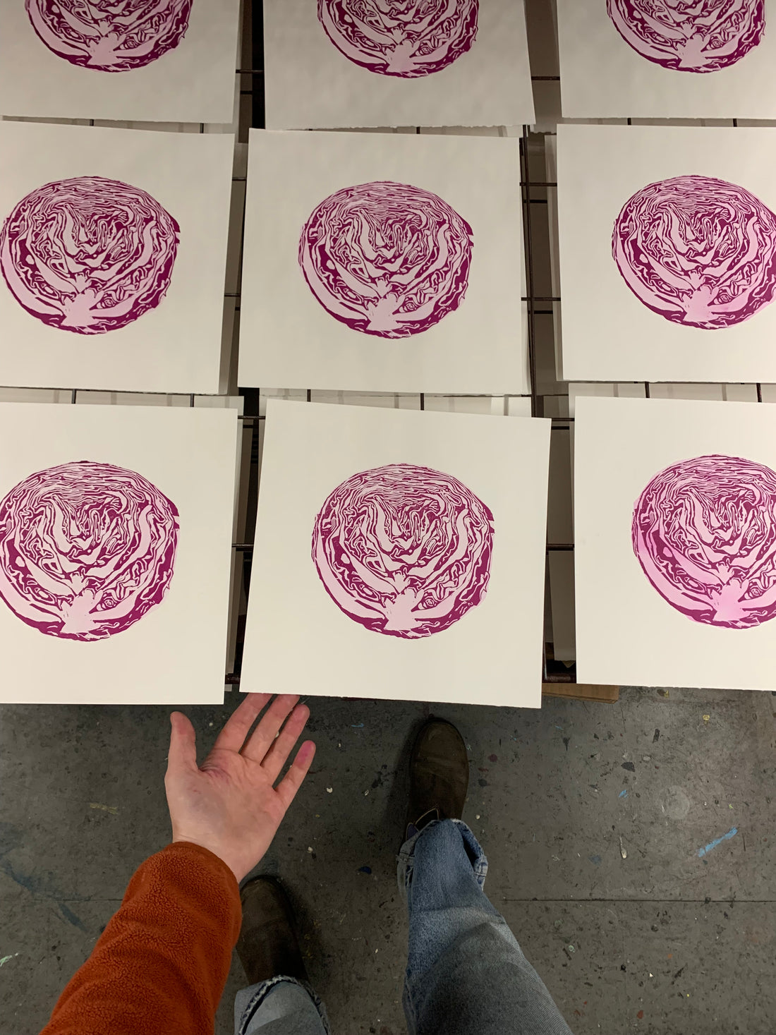Cabbage – Inciardi Prints