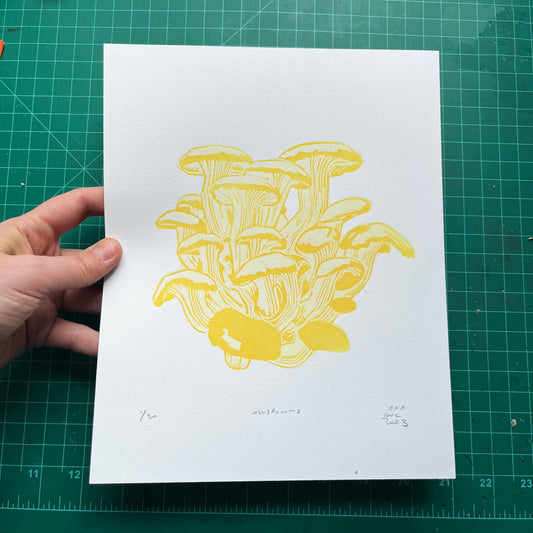 Oyster Mushrooms